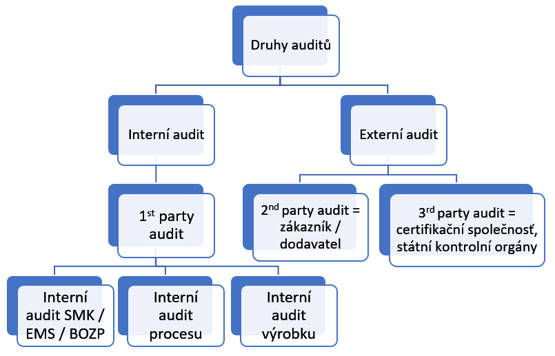 druhy auditů diagram